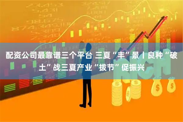 配资公司最靠谱三个平台 三夏“丰”景丨良种“破土”战三夏产业“拔节”促振兴