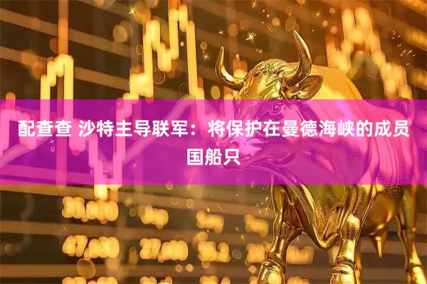 配查查 沙特主导联军：将保护在曼德海峡的成员国船只